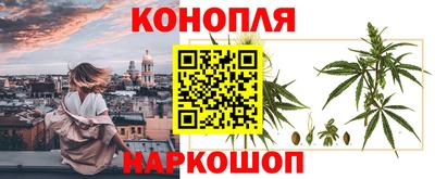 СК Мариинск