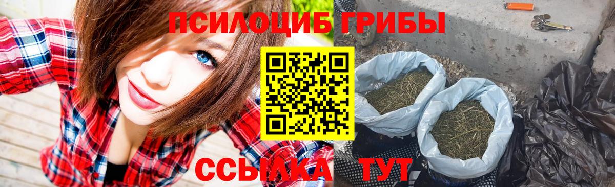 Псилоцибиновые грибы Magic Shrooms  Вход с VPN  Волгоград  Псилоцибиновые грибы MAGIC MUSHROOMS 