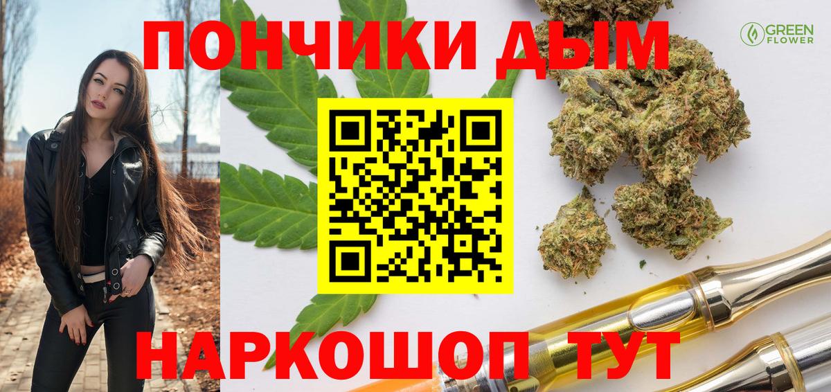 Марихуана сатива Волгоград